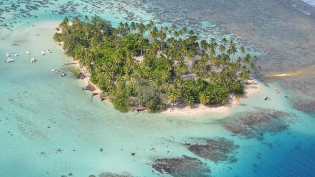 Pension Hibiscus Tahaa Uturoa 外观 照片